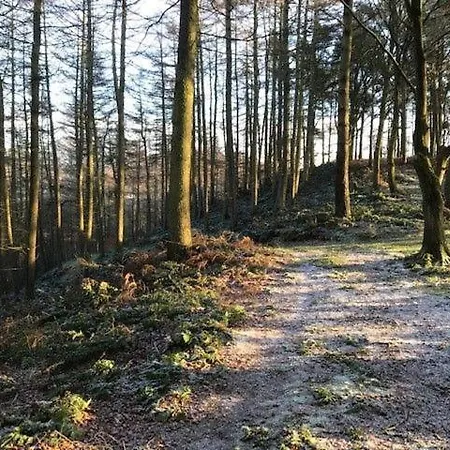 8 Tarn End Cottage, A Luxurious For Romantic Break Overlooking Talkin Tarn Close To Hadrians Feriehus *